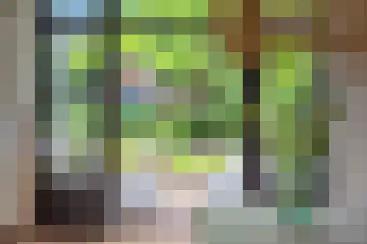 Willem de Zwijgerlaan 110 Overveen thumbnail 21