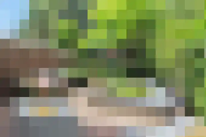 Willem de Zwijgerlaan 110 Overveen thumbnail 22
