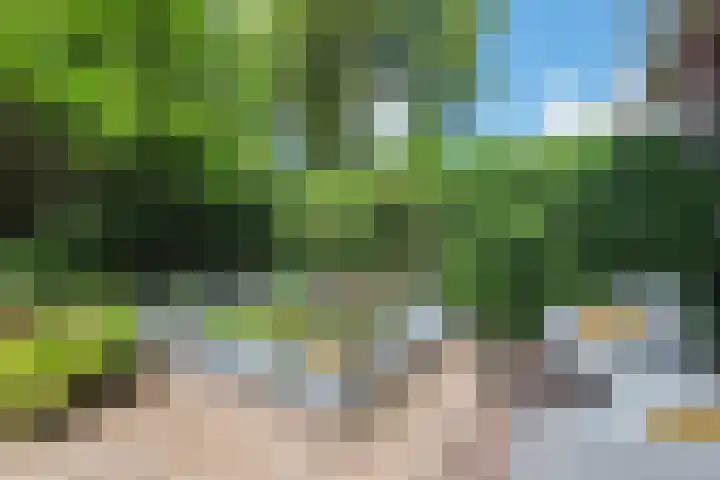 Willem de Zwijgerlaan 110 Overveen thumbnail 23