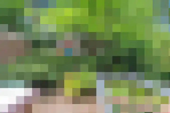 Willem de Zwijgerlaan 110 Overveen thumbnail 24