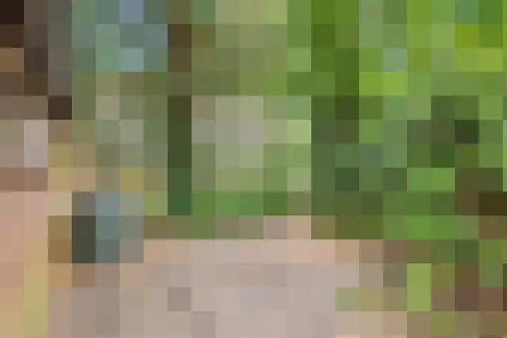 Willem de Zwijgerlaan 110 Overveen thumbnail 26