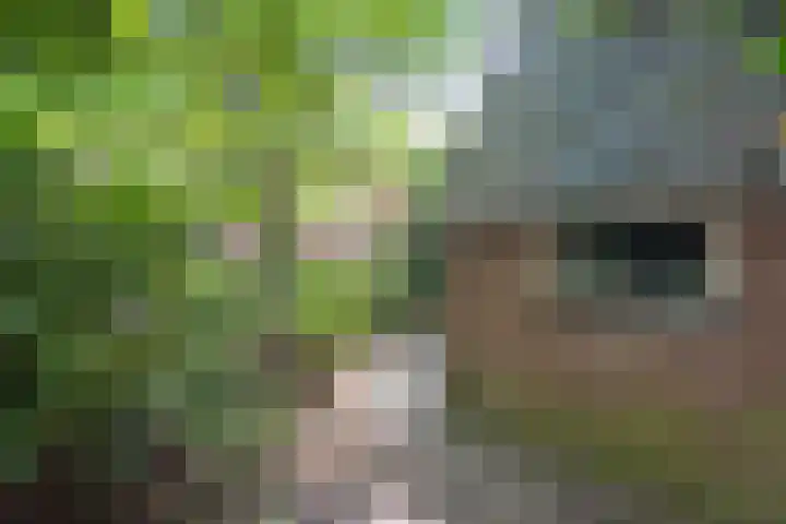 Willem de Zwijgerlaan 110 Overveen thumbnail 27