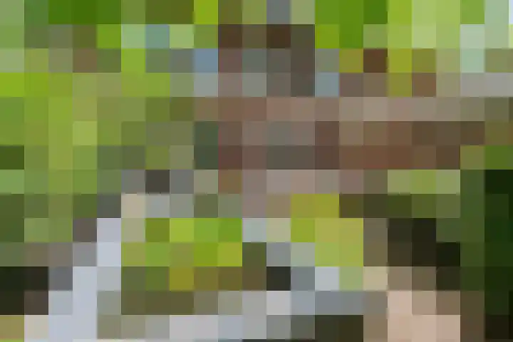 Willem de Zwijgerlaan 110 Overveen thumbnail 28