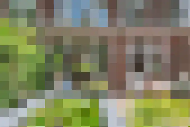 Willem de Zwijgerlaan 110 Overveen thumbnail 29