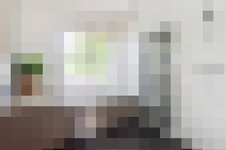Willem de Zwijgerlaan 110 Overveen thumbnail 31