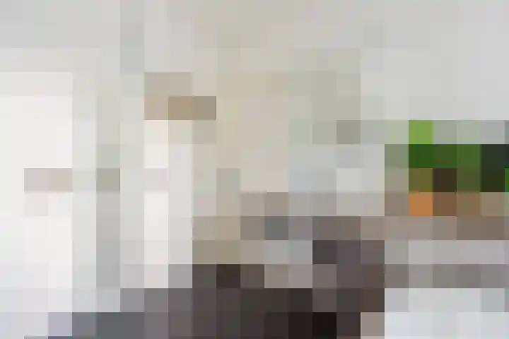 Willem de Zwijgerlaan 110 Overveen thumbnail 33
