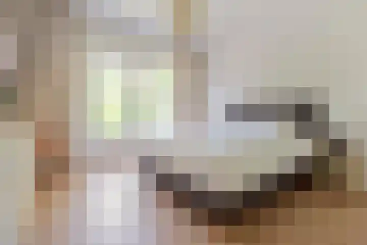 Willem de Zwijgerlaan 110 Overveen thumbnail 38
