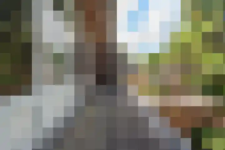 Willem de Zwijgerlaan 110 Overveen thumbnail 40