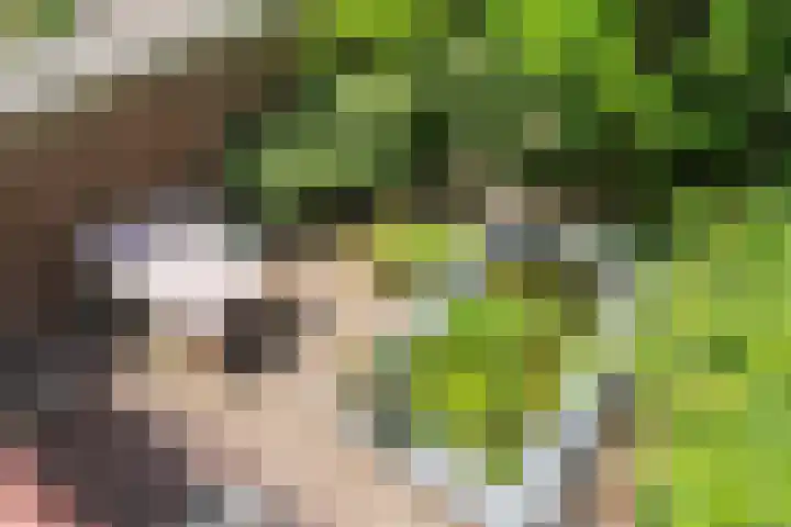 Willem de Zwijgerlaan 110 Overveen thumbnail 41