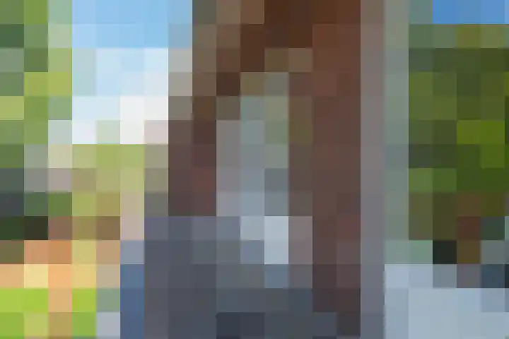 Willem de Zwijgerlaan 110 Overveen thumbnail 42