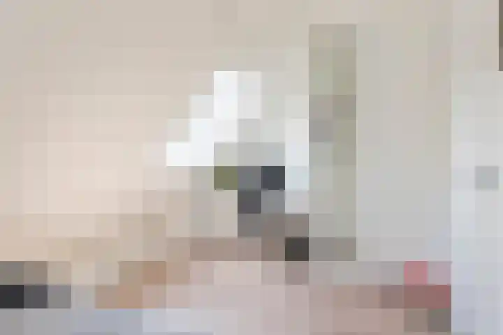 Willem de Zwijgerlaan 110 Overveen thumbnail 48