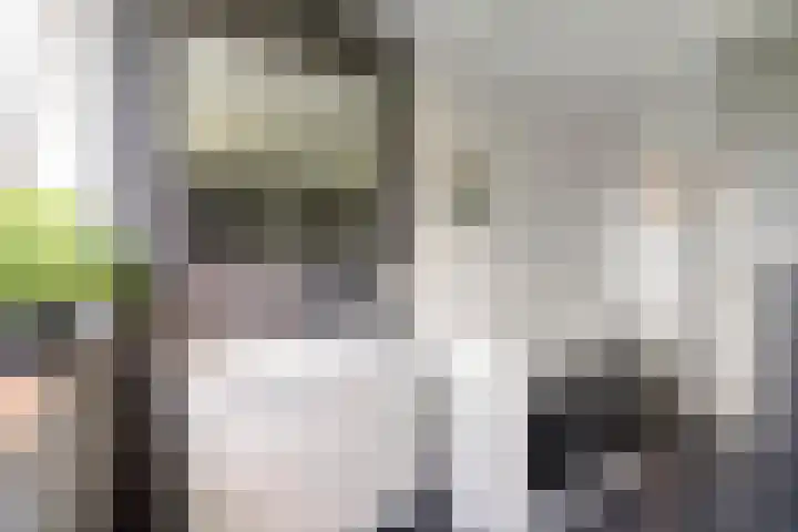 Willem de Zwijgerlaan 110 Overveen thumbnail 58