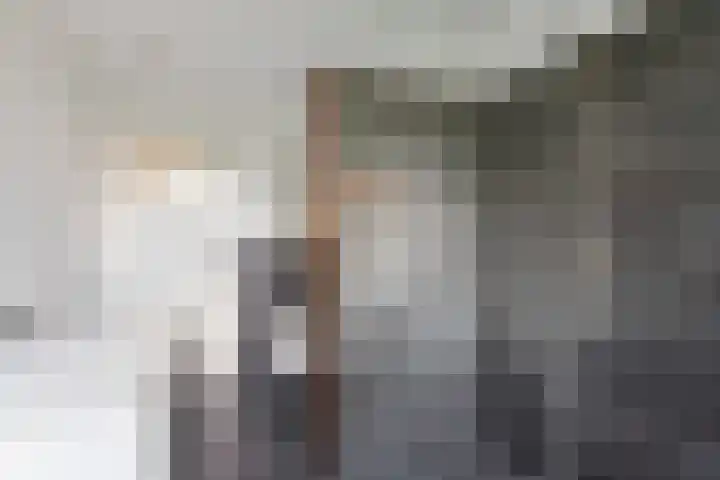 Willem de Zwijgerlaan 110 Overveen thumbnail 59