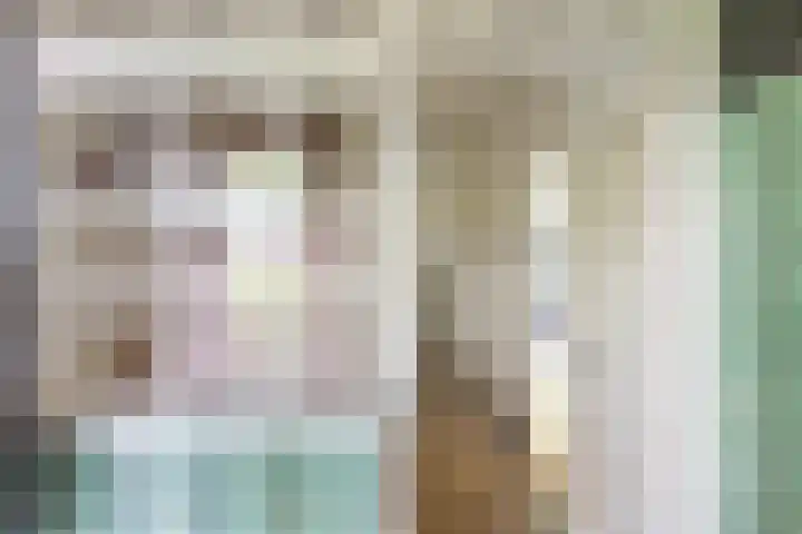 Willem de Zwijgerlaan 110 Overveen thumbnail 6