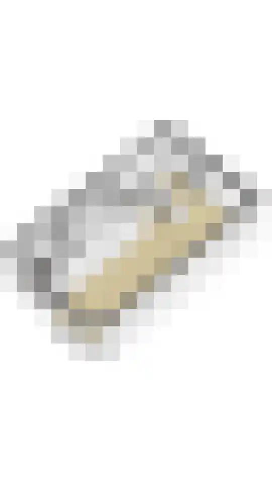Willem de Zwijgerlaan 110 Overveen thumbnail 70