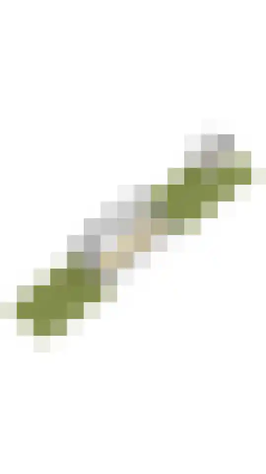 Willem de Zwijgerlaan 110 Overveen thumbnail 74