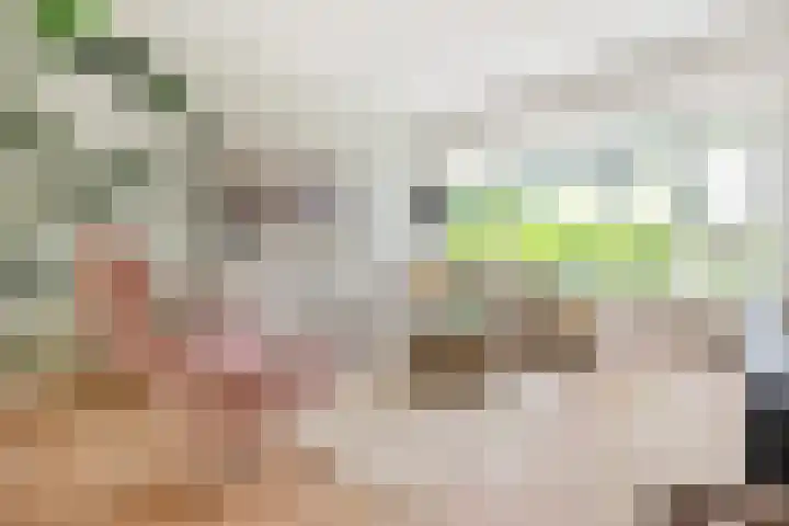 Willem de Zwijgerlaan 110 Overveen thumbnail 8