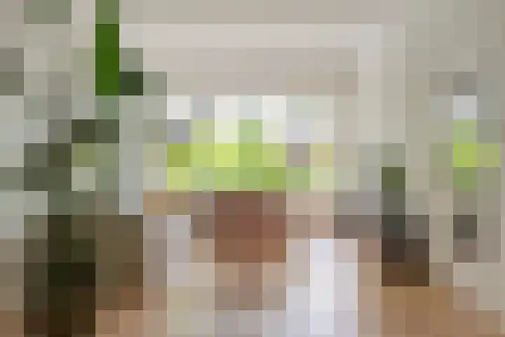 Willem de Zwijgerlaan 110 Overveen thumbnail 9