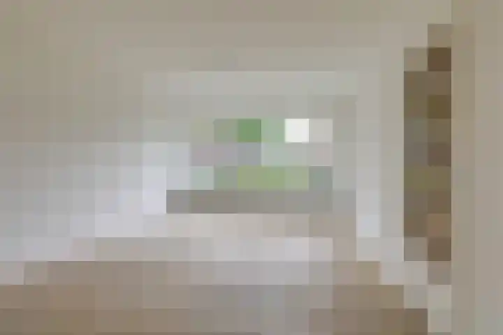 Willem de Zwijgerlaan 110 Zevenaar thumbnail 15