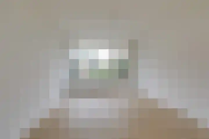 Willem de Zwijgerlaan 110 Zevenaar thumbnail 17