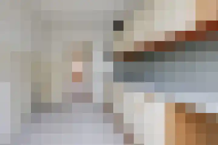 Willem de Zwijgerlaan 110 Zevenaar thumbnail 18