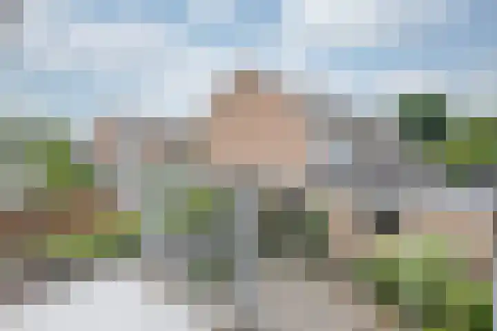 Willem de Zwijgerlaan 110 Zevenaar thumbnail 26
