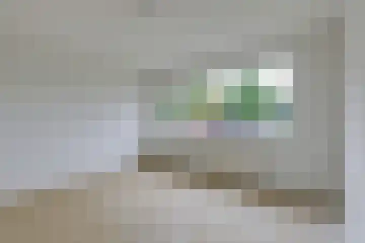 Willem de Zwijgerlaan 110 Zevenaar thumbnail 27