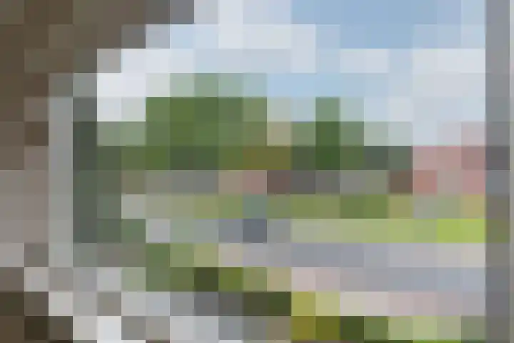 Willem de Zwijgerlaan 110 Zevenaar thumbnail 28