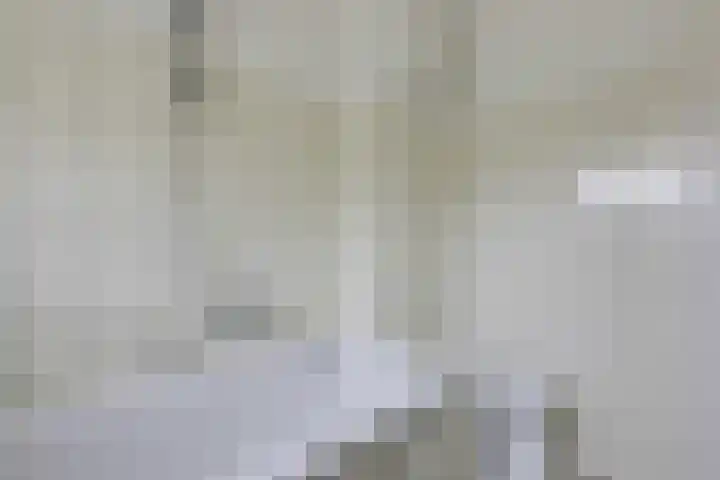 Willem de Zwijgerlaan 110 Zevenaar thumbnail 31