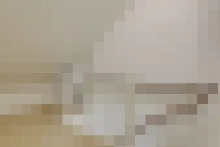 Willem de Zwijgerlaan 110 Zevenaar thumbnail 32