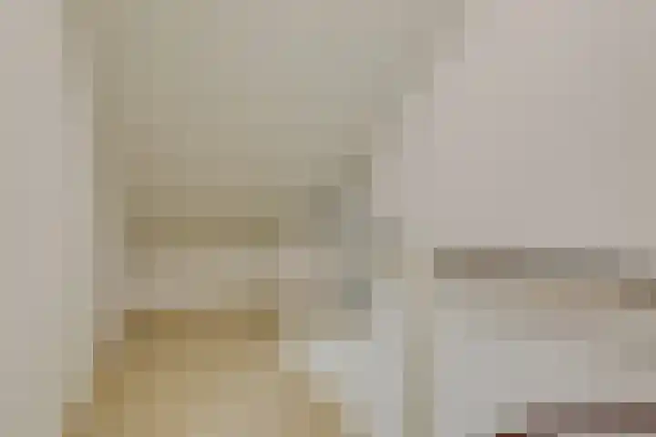 Willem de Zwijgerlaan 110 Zevenaar thumbnail 33