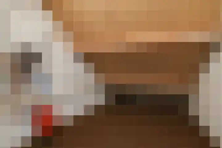 Willem de Zwijgerlaan 110 Zevenaar thumbnail 34