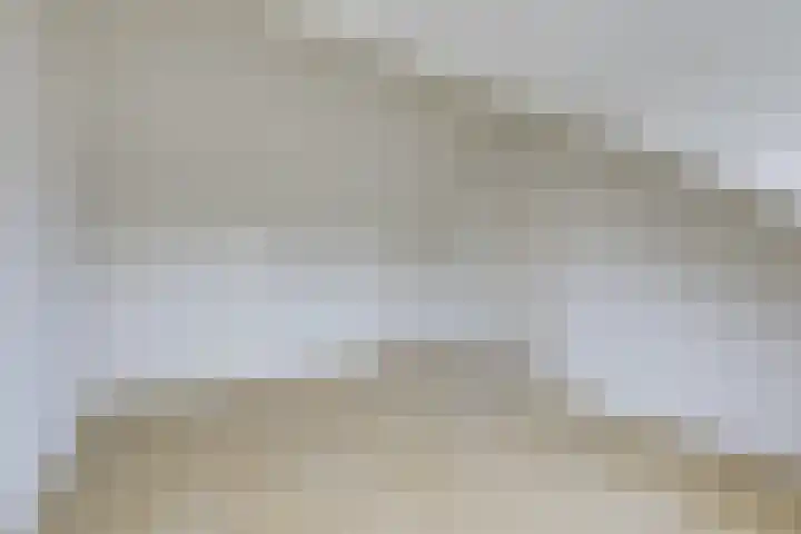 Willem de Zwijgerlaan 110 Zevenaar thumbnail 37