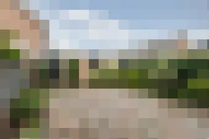 Willem de Zwijgerlaan 110 Zevenaar thumbnail 39