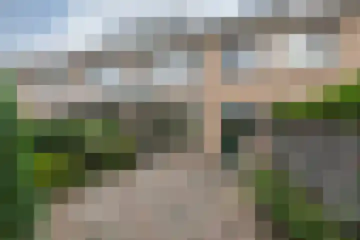 Willem de Zwijgerlaan 110 Zevenaar thumbnail 41