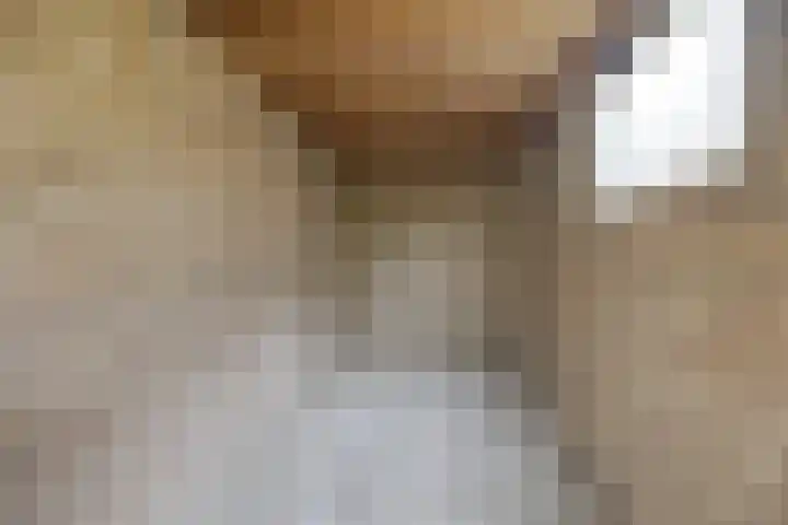 Willem de Zwijgerlaan 110 Zevenaar thumbnail 44