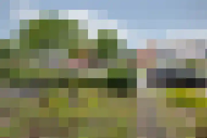 Willem de Zwijgerlaan 110 Zevenaar thumbnail 46