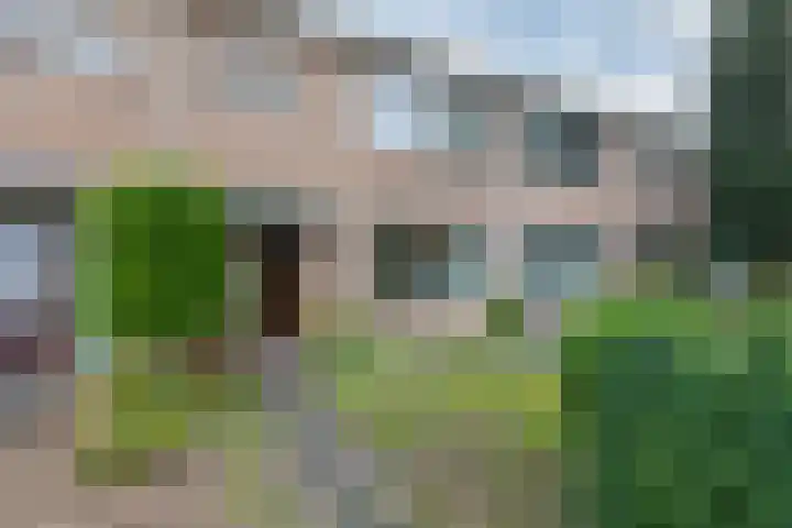 Willem de Zwijgerlaan 110 Zevenaar thumbnail 5