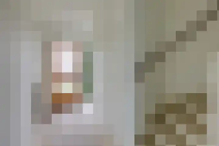 Willem de Zwijgerlaan 110 Zevenaar thumbnail 7