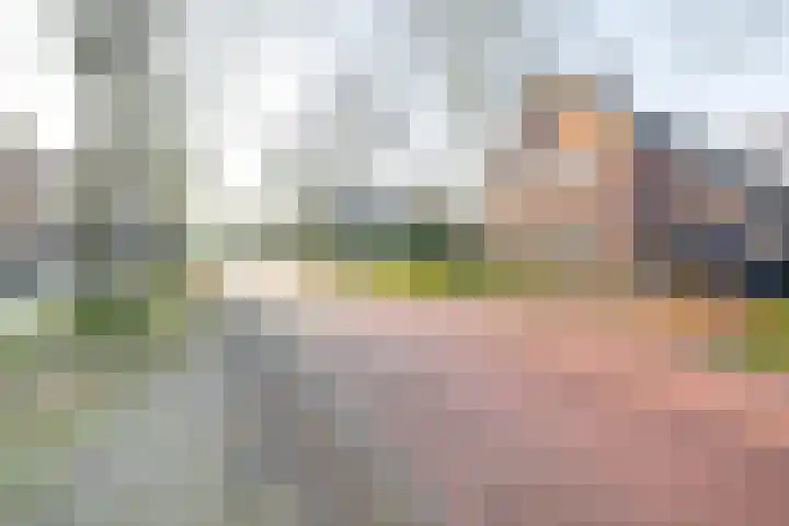 Willem de Zwijgerlaan 111 Heerenveen thumbnail 43