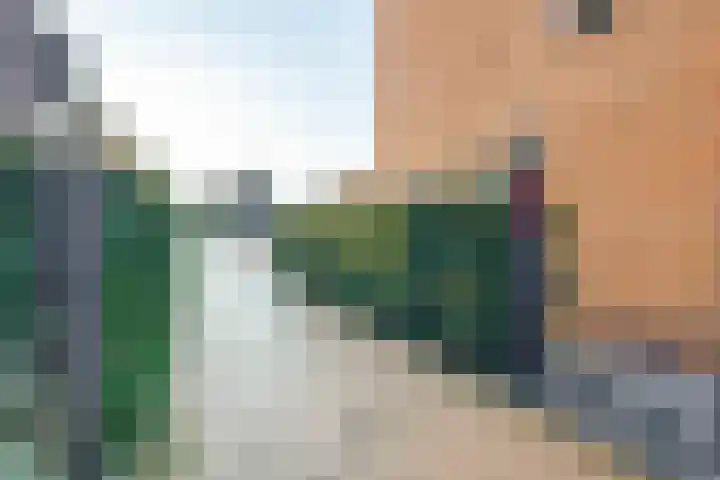 Willem de Zwijgerlaan 111 Heerenveen thumbnail 46
