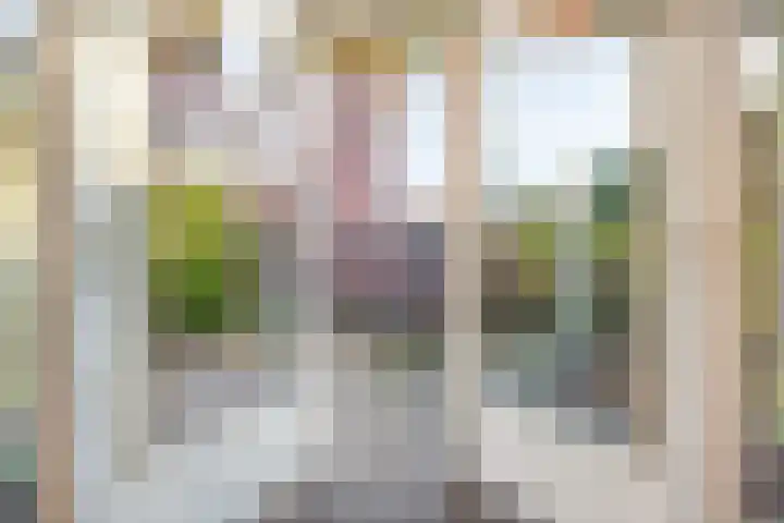 Willem de Zwijgerlaan 111 Heerenveen thumbnail 7