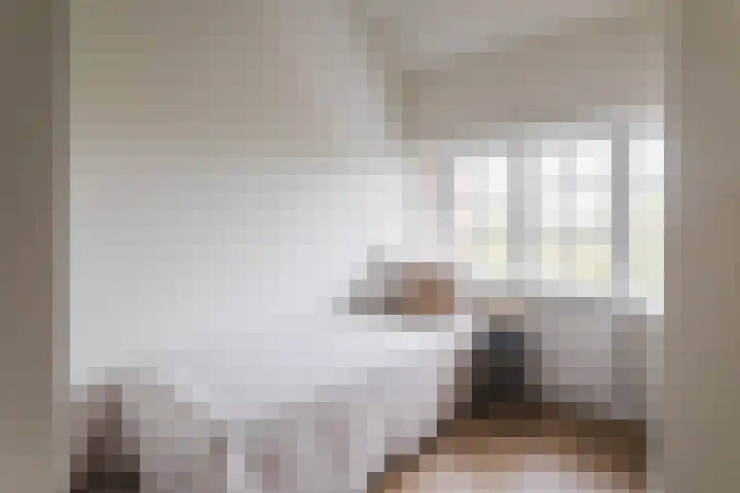Willem de Zwijgerlaan 113 B Den Haag thumbnail 16