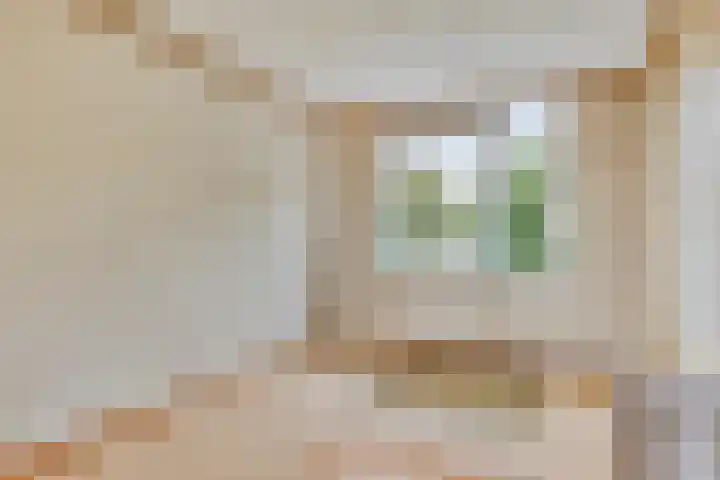 Willem de Zwijgerlaan 118 Alkmaar thumbnail 14