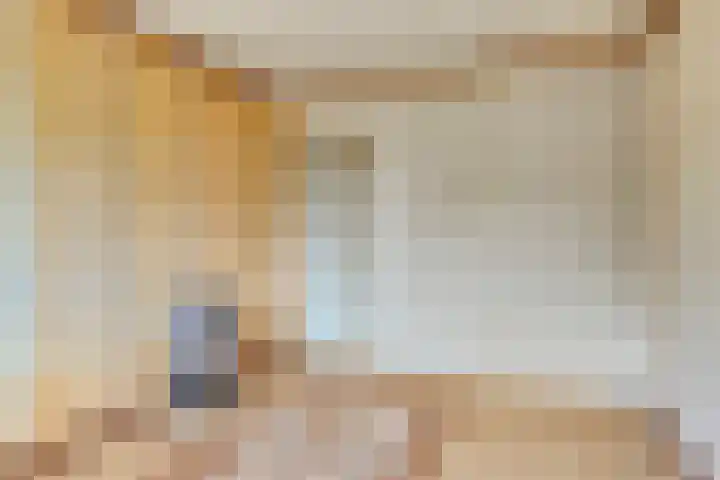 Willem de Zwijgerlaan 118 Alkmaar thumbnail 15