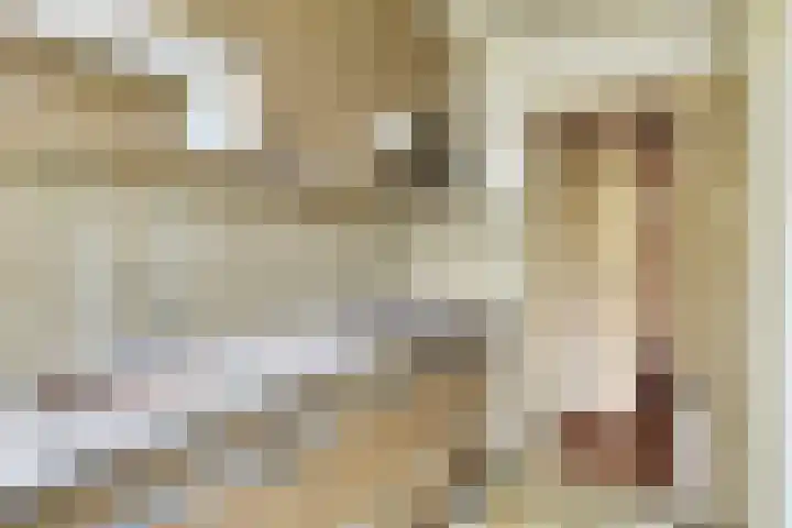 Willem de Zwijgerlaan 118 Alkmaar thumbnail 16