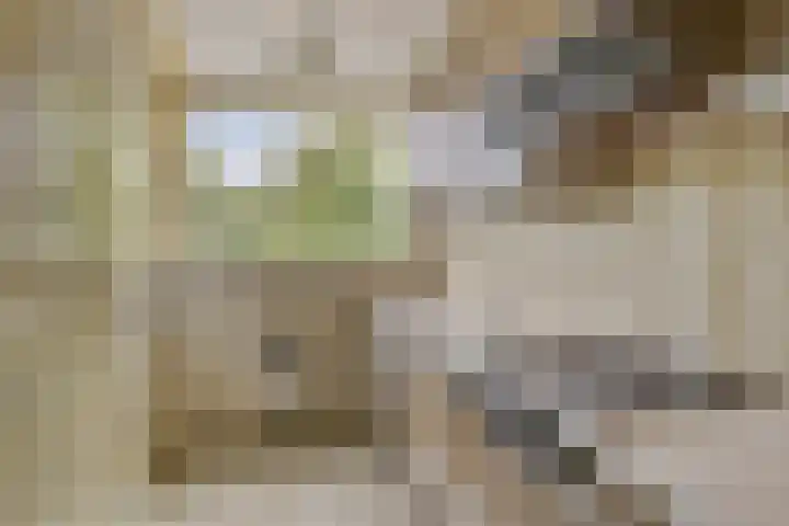Willem de Zwijgerlaan 118 Alkmaar thumbnail 17