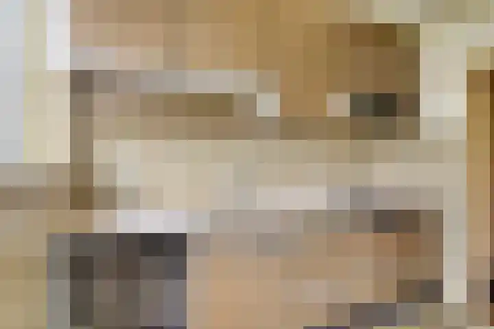 Willem de Zwijgerlaan 118 Alkmaar thumbnail 18