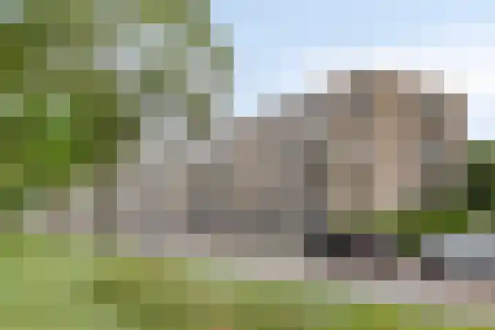 Willem de Zwijgerlaan 118 Alkmaar thumbnail 26