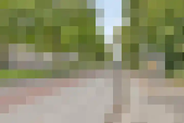 Willem de Zwijgerlaan 118 Alkmaar thumbnail 27